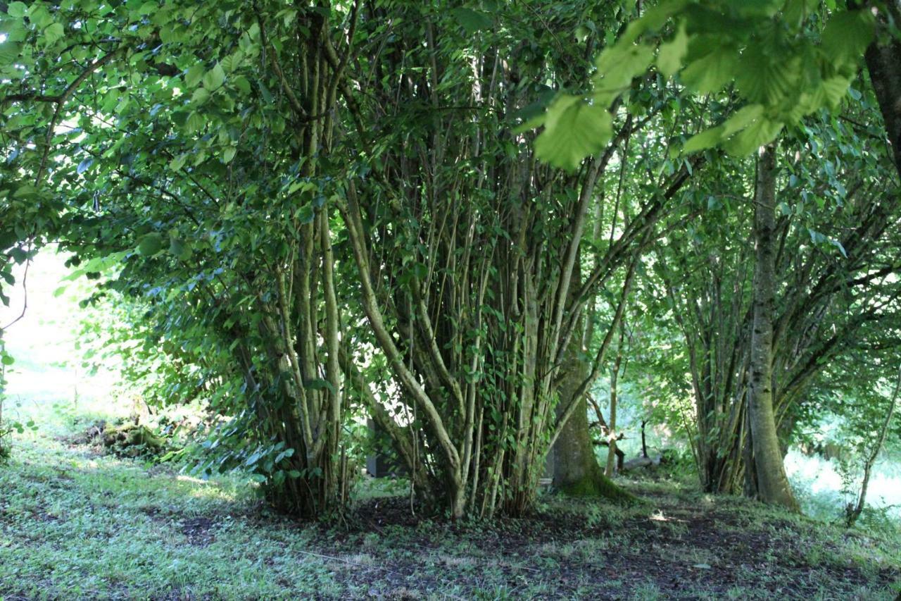Du Cote De Lacoume Anla Luaran gambar