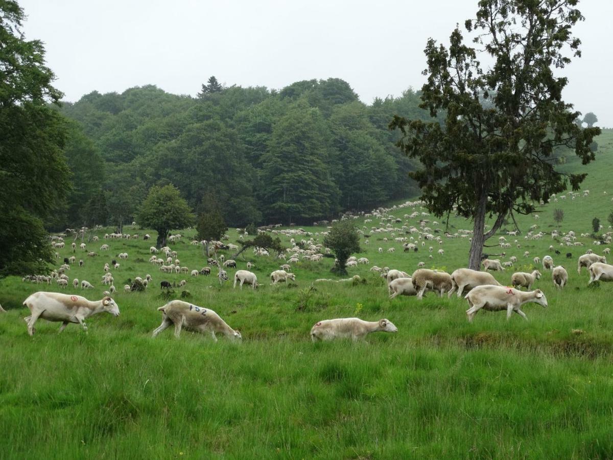 Du Cote De Lacoume Anla Luaran gambar