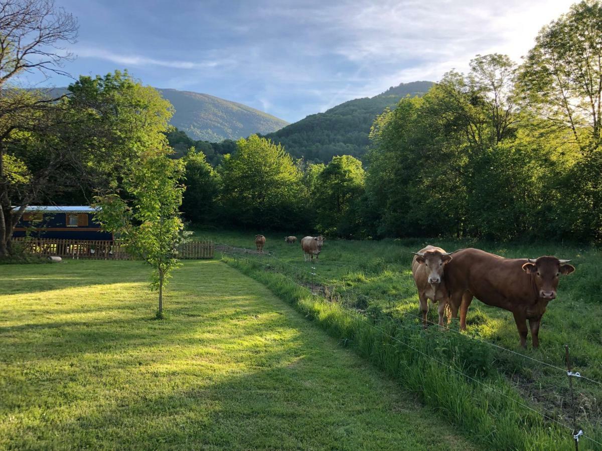 Du Cote De Lacoume Anla Luaran gambar